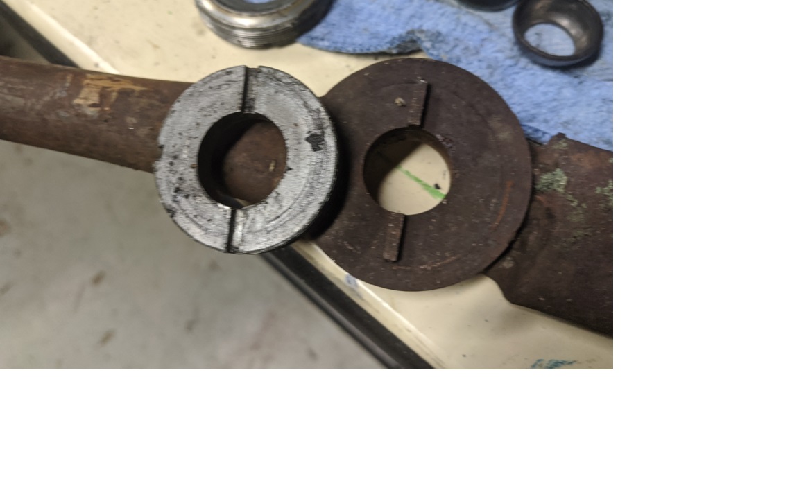 old nut.jpg